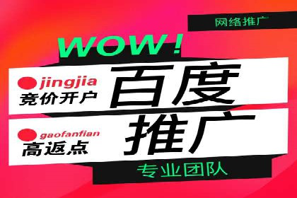 实战经验：竞价推广案例解析与优化策略分享